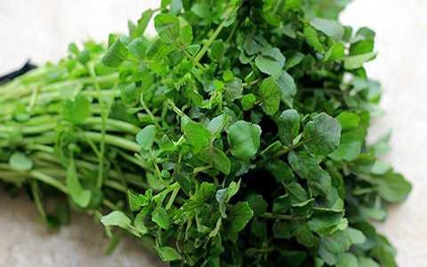 Trong lá cải xoong cũng cung cấp nhiều dưỡng chất giải độc quan trọng.Ảnh minh họa