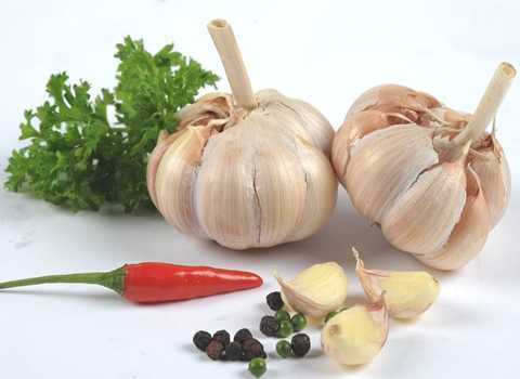 Nên dùng tỏi ở dạng tươi để mang lại hiệu quả tốt nhất. Ảnh minh họa 