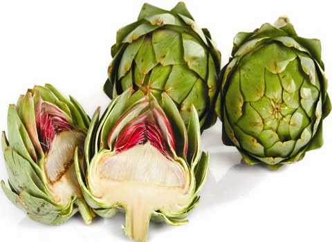 Atisô có khả năng kích thích và cải thiện chức năng của gan. Ảnh minh họa