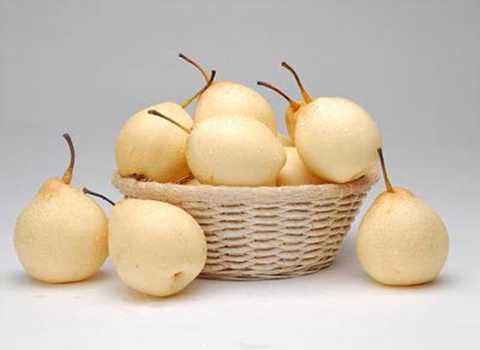 Lê cũng là loại có có khả năng giải độc tốt. Ảnh minh họa