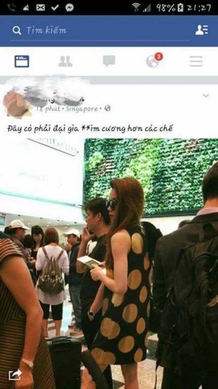  hà hồ và đại gia kim cương