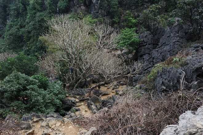 'Phim King Kong tác động xấu tới di sản sẽ cho dừng quay'