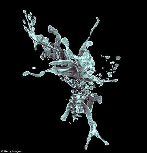 Các tế bào ung thư sau khi bị phá hủy bằng liệu pháp T-Cell. Ảnh Daily Mail