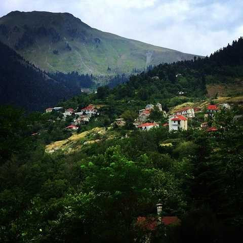 Hàng loạt những ngôi nhà bị bỏ hoang