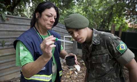 Virus Zika lây lan mạnh mẽ ở Brazil trong năm 2015