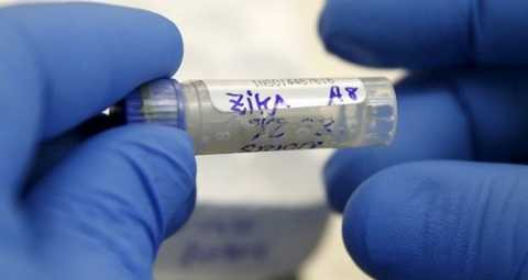 Cả thế giới đang sợ hãi trước virus zika