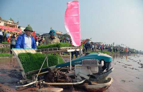 Bí thư Thành ủy Hoàng Trung Hải đi cấy cùng nông dân ngày hội xuống đồng Bí thư Thành ủy Hoàng Trung Hải đi cấy cùng nông dân ngày hội xuống đồng