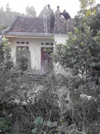 Lạnh gáy những vụ trâu húc chết người