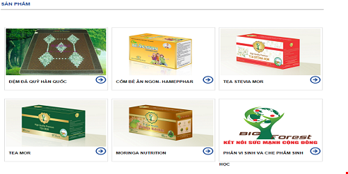 Một số sản phẩm của công ty Big Forest 