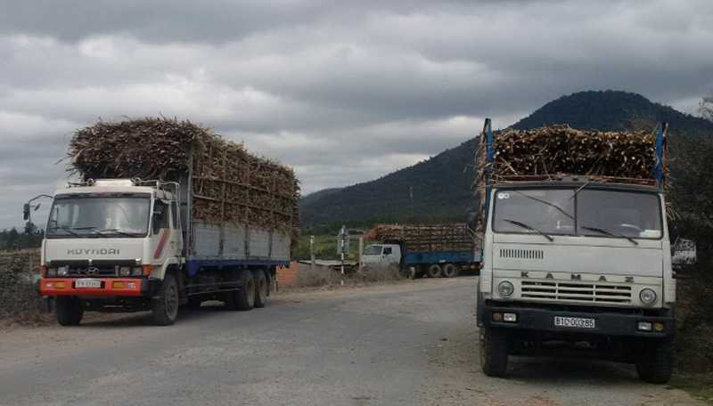 Xe quá khổ, quá tải do Giám đốc Sở GTVT tỉnh Gia Lai chụp tại Nhà máy đường An Khê