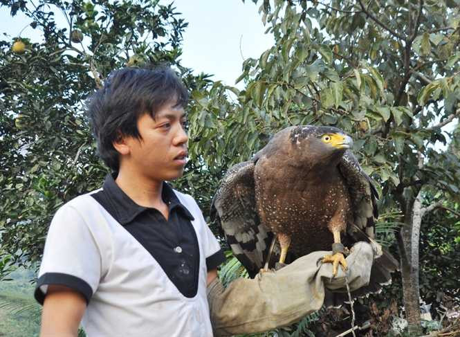 Anh Vinh và chú chim “chúa tể bầu trời” Anh Vinh và chú chim “chúa tể bầu trời”