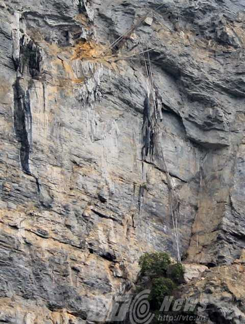 Phải zoom hết ống kính, rồi phóng ảnh hết cỡ, mới nhìn thấy những chiếc thang tre nhỏ xíu trên vách núi, do những người lấy huyết lình tạo ra, tại xã Thượng Lâm, Lâm Bình, Tuyên Quang. Phải zoom hết ống kính, rồi phóng ảnh hết cỡ, mới nhìn thấy những chiếc thang tre nhỏ xíu trên vách núi, do những người lấy huyết lình tạo ra, tại xã Thượng Lâm, Lâm Bình, Tuyên Quang.