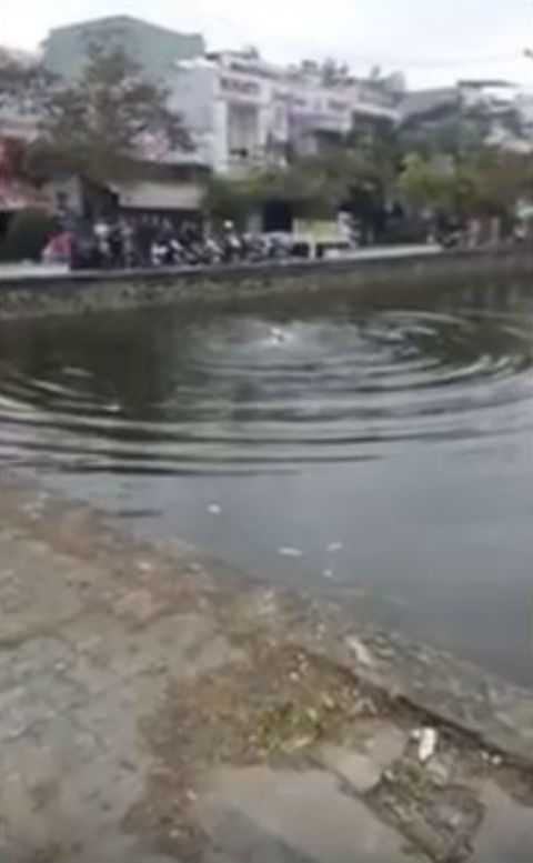 Thanh niên chết thảm vì bị nhầm 'ngáo đá': Vô cảm, vô nhân đạo, vô văn hóa