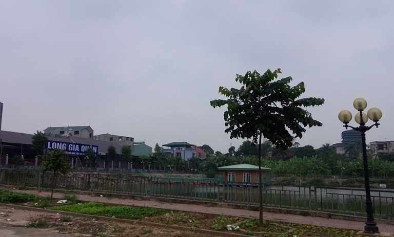 Thành phố Việt Trì 'làm ngơ' để nhà hàng nổi không phép giữa mọc giữa hồ?