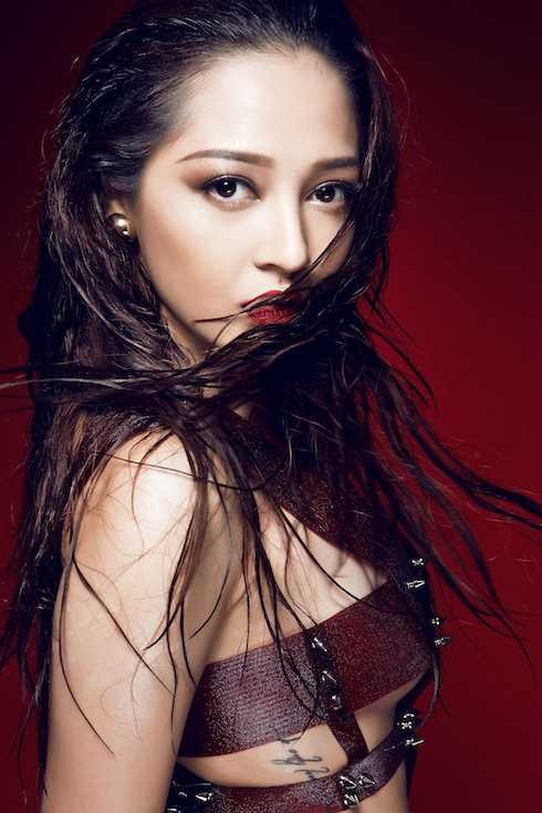 Hiện tại, khán giả vẫn đang rất tò mò về hình ảnh và dự án mà Bảo Anh sẽ tiếp tục công bố trong năm 2016. 