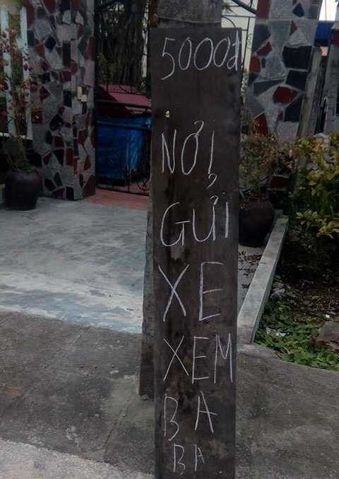 Người dân lân cận mở dịch vụ trông xe xem ba ba Người dân lân cận mở dịch vụ trông xe xem ba ba