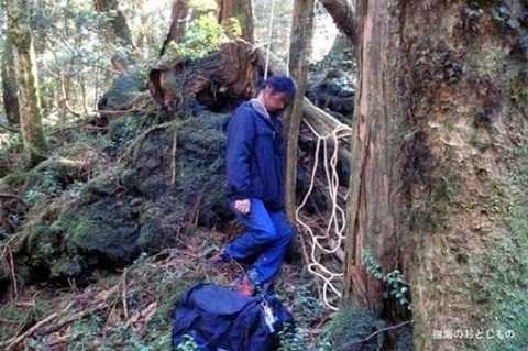 Thay vì được đến với vẻ đẹp hư không, Aokigahara được biết đến như một nghĩa địa thực sự 