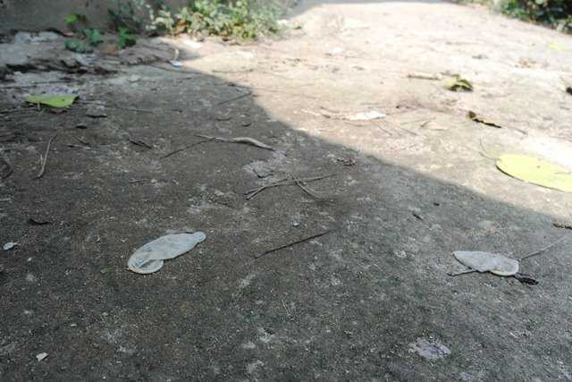 Bao cao su vương vãi mặt đất.