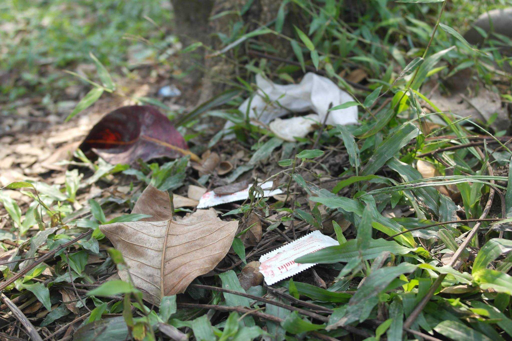 La liệt trên bãi cỏ.