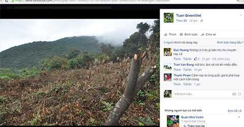 Rừng Sơn Trà, bị phá, cơ quan chức năng không hề hay biết?