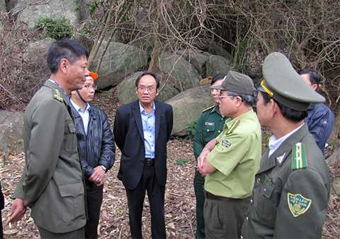 Rừng Sơn Trà, bị phá, cơ quan chức năng không hề hay biết?