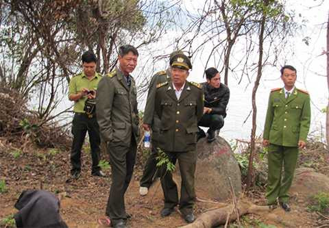 Vụ phá rừng ở Sơn Trà, UBND Quận, phát dây leo, bán đảo, rừng đặc dụng