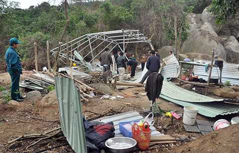 Vụ phá rừng ở Sơn Trà, UBND Quận, phát dây leo, bán đảo, rừng đặc dụng