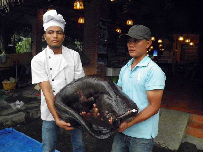 Con cá leo cũng phải 2 người khiêng - Ảnh: Dương Thế Hùng