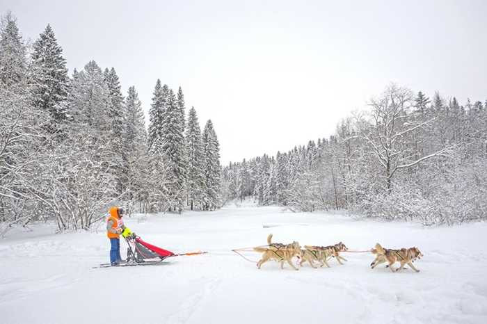 Thời tiết ở đây vô cùng lạnh giá, 4 bề chỉ trắng xóa một màu tuyết