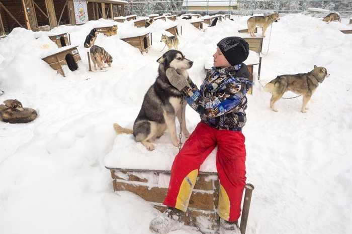 Mỗi chú chó có một căn nhà gỗ nhỏ để ngủ