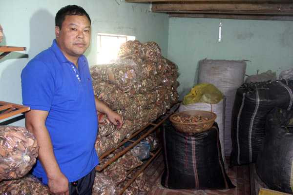 Ông lang Út trong phòng bốc thuốc