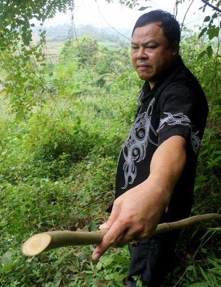 Lương y Út và một cây thuốc