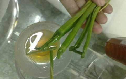 Mật ong thật sẽ làm cho cọng hành có cảm giác héo đi, lên màu xanh đậm. Ảnh minh họa Mật ong thật sẽ làm cho cọng hành có cảm giác héo đi, lên màu xanh đậm. Ảnh minh họa