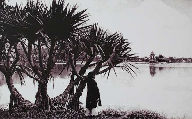Hồ Gươm đầu thế kỷ 20 còn nhiều nét hoang sơ.