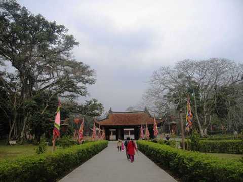 Kỳ bí, cây nhân tình, đa thị, nổi tiếng, Lam Kinh