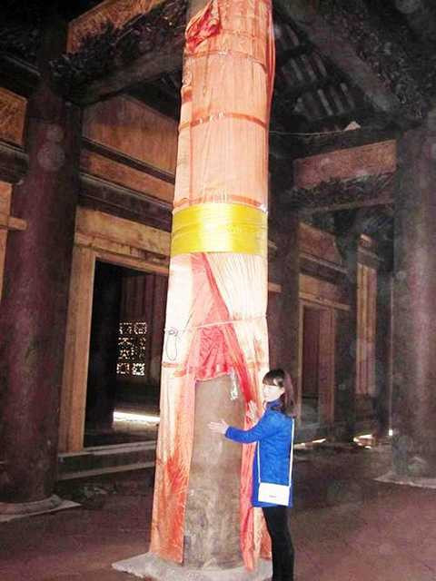 Kỳ bí, cây nhân tình, đa thị, nổi tiếng, Lam Kinh