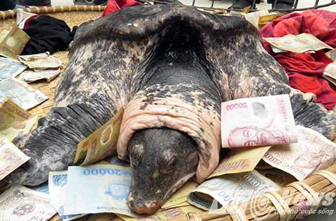 Cụ nằm trong cũi, tiền rải khắp người