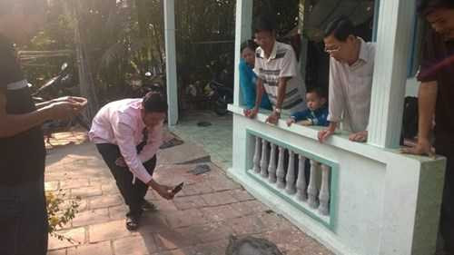 Phát hiện con rùa 14kg nằm giữa đường