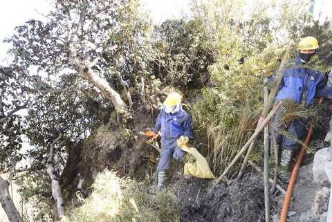 Với điều kiện thời tiết thất thường, vào những ngày sương mù hoặc mùa đông Sapa, công việc dự kiến còn vất vả hơn nhiều, chưa kể phải đối mặt với nhiều loại côn trùng độc hại