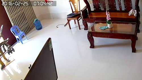 Mang ngay xe đẩy cháu Q vào nhà