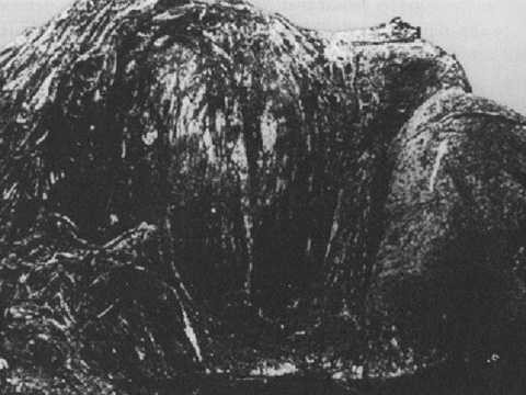  New Zealand Globster. New Zealand Globster là một con quái vật ăn thịt không rõ nguồn gốc, trôi dạt vào bờ biển Muriwai, ở phía tây của đảo Bắc, gần Auckland, vào năm 1968. Theo quan sát, quái vật này dài 9m, cao 2,4m, kích thước khá lớn, nổi bật với bộ tóc rũ bù xù. 