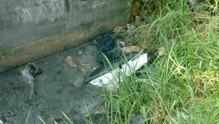 Hiện trường phát hiện thi thể 1 nam thanh niên dưới cống nhà kho.