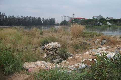 Dự án Phước Kiển vẫn cỏ mọc rêu phong Dự án Phước Kiển vẫn cỏ mọc rêu phong