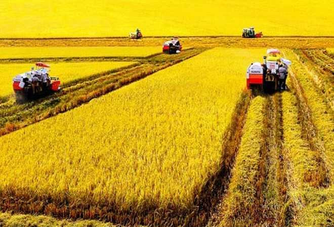 Trong TPP nhiều quốc gia có ngành nông nghiệp năng suất rất cao, gấp cả chục lần Việt Nam, với giá cả rất cạnh tranh.