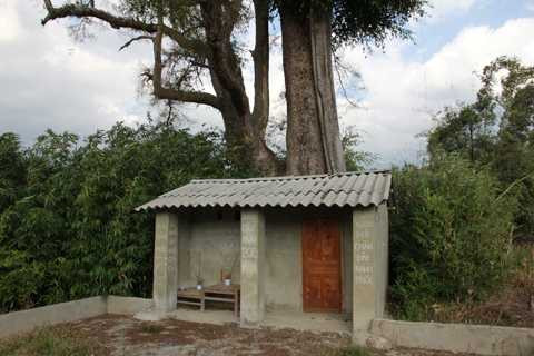 Ngôi miếu thờ cây và các vị thần Ngôi miếu thờ cây và các vị thần