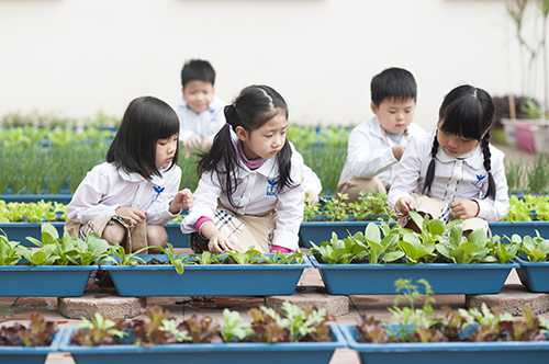 Trường Thực nghiệm 3 Hà Nội