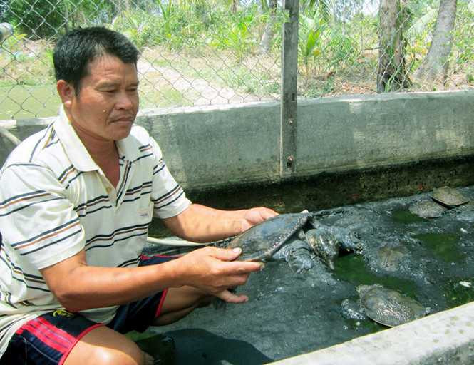Ông Trần Văn Thường làm giàu từ mô hình nuôi cua đinh