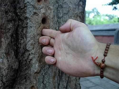 Tất tật chi tiết, cách luyện thành 72 tuyệt kỹ Thiếu Lâm Tự