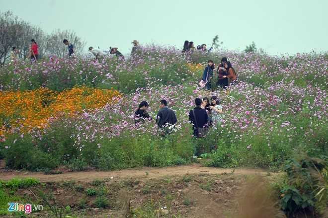 Công viên đồng nát hút giới trẻ