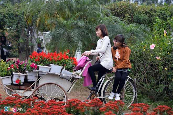 Công viên đồng nát, bãi đá sông Hồng, giới trẻ, Hà thành, Sài thành